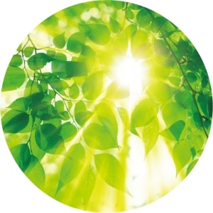 リクルーティングメッセージ